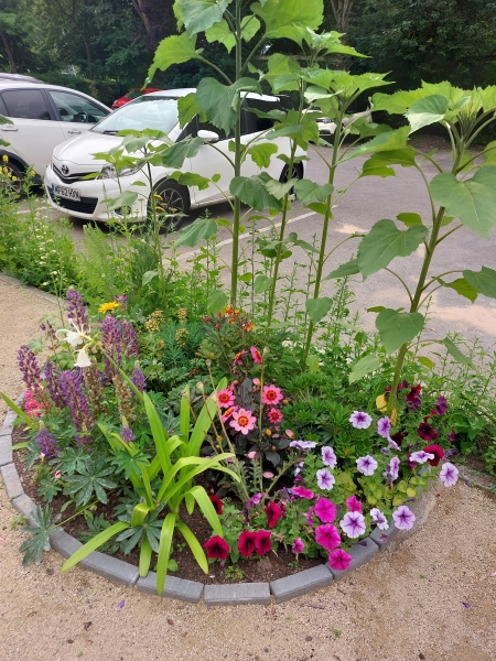 St Wilfrid's Community Garden